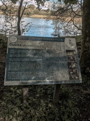 Lake District Road Trip - Beatrix Potter Walking Trail Signs